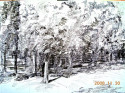Inv. 1110 03. Filzstiftzeichnung auf Papier, SW, Sujet Barockgarten Schönbrunn. Titel: Garten Eden. Format: 700 x 1000 mm, gemacht 2008